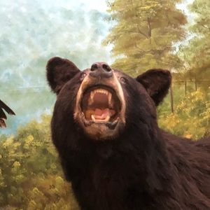 Meet your Posher, Charles